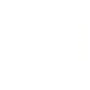 white faded circle